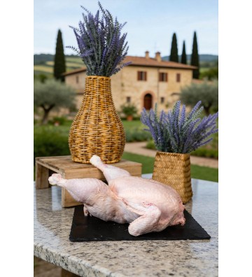 POLLO