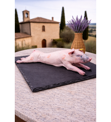 COCHINILLO